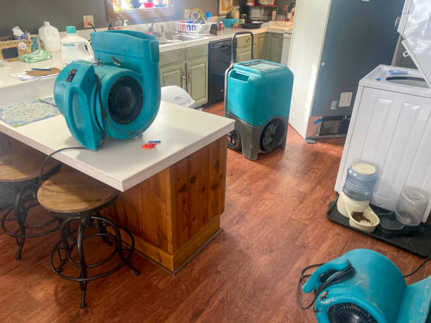 Best Water damage cleanup near me  in Clifton Gardens, NY