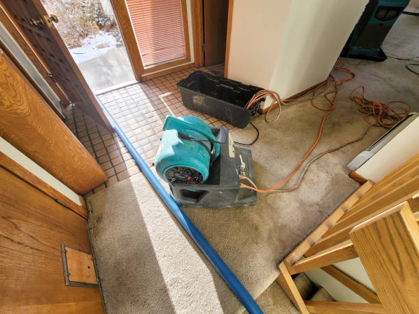 Best Water damage restoration near me  in Clifton Gardens, NY