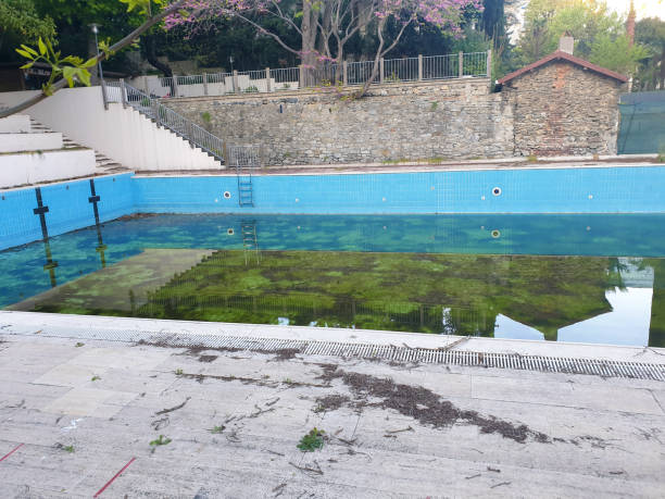 Best Flood damage cleanup  in Clifton Gardens, NY