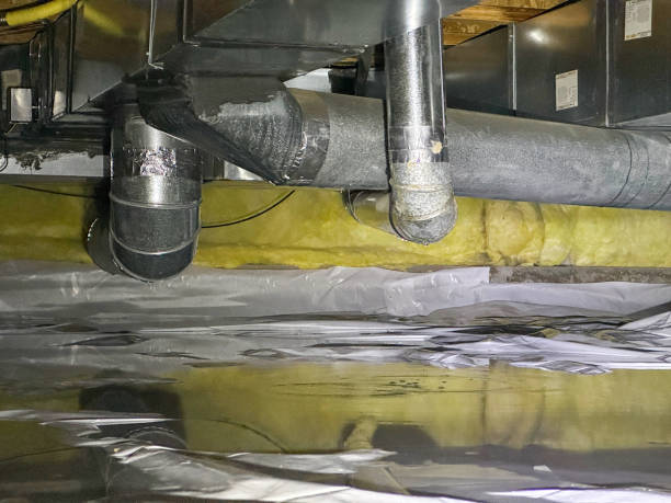 Best Carpet water damage restoration  in Clifton Gardens, NY