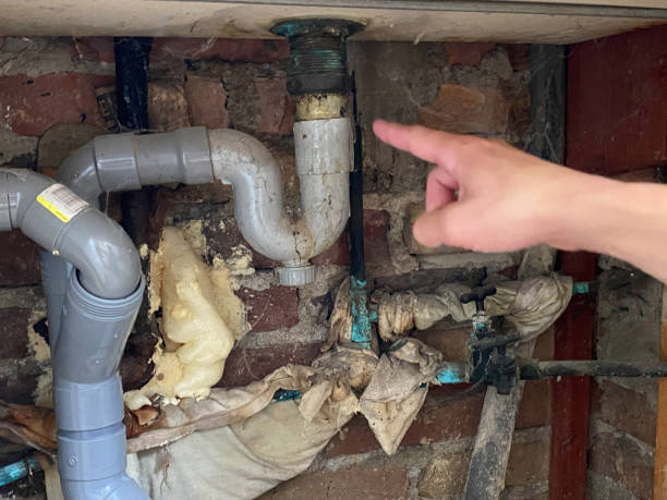 Best Ceiling water damage repair  in Clifton Gardens, NY