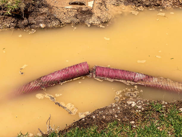 Best 24-hour water damage restoration  in Clifton Gardens, NY