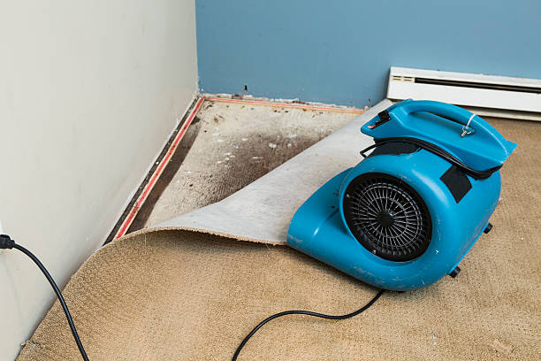 Best Sewage cleanup and water damage restoration  in Clifton Gardens, NY